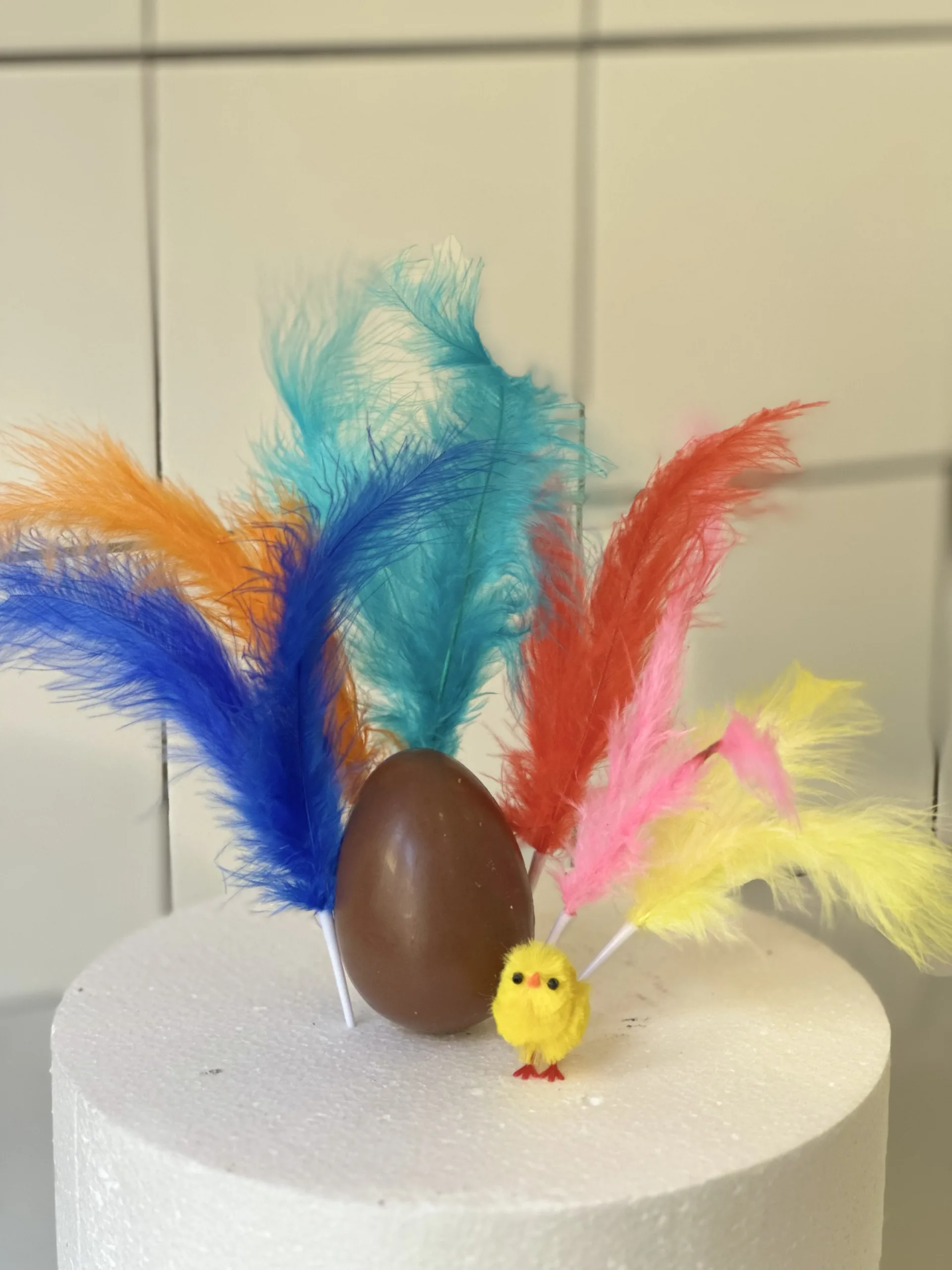 Pack Huevo+Pollito+ 6 Plumas